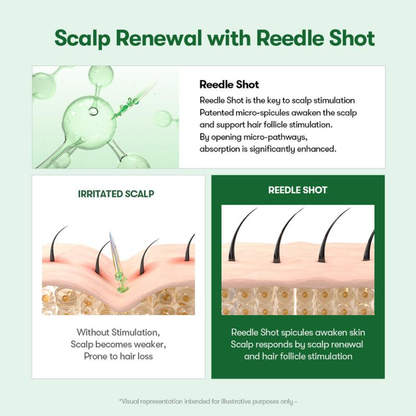 PDRN Reedle Shot Scalp Care Set