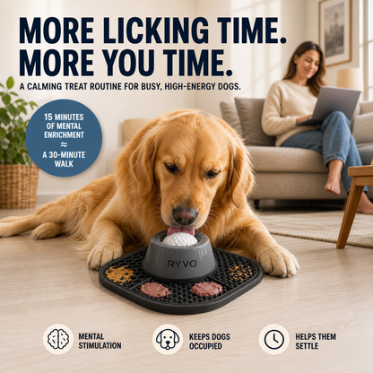 RYVO™ 2‑in‑1 Slow Feeder Dog Bowl & Lick Mat